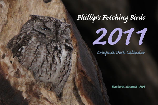 Cover 2011 Phillip's Fetching Birds