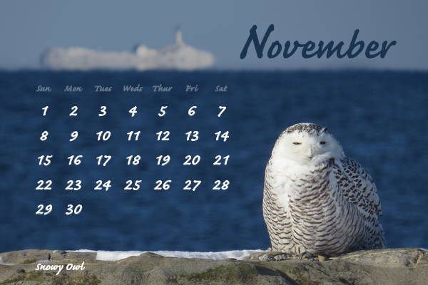 November2015