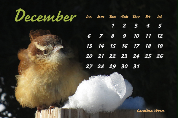 December2015